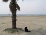 Marina di Pietrasanta: spiaggia