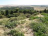 Castel Del Monte: panorama